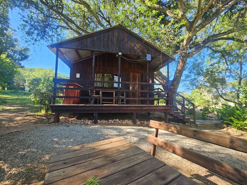 Fully Serviced, Furnished Rental Unit Available  - Photo 1
