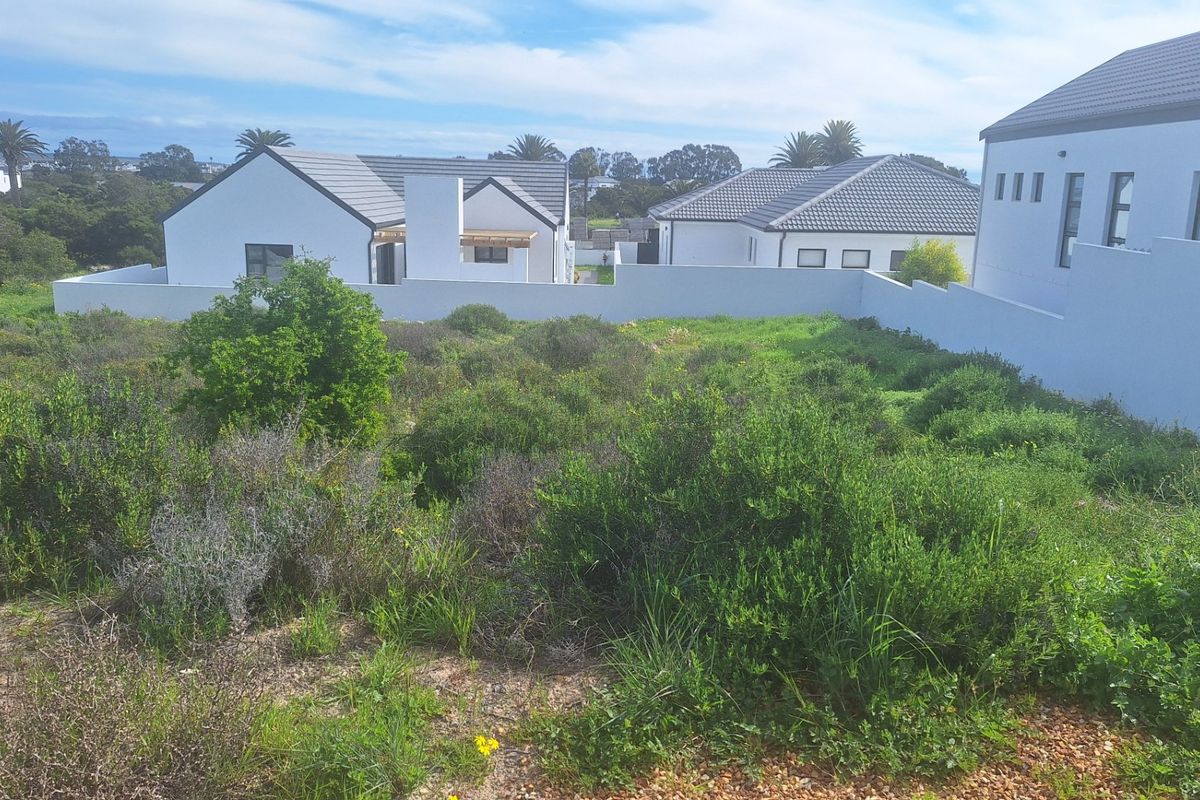 A vacant residential plot featuring natural vegetation, enclosed by perimeter boundary walls with established neighboring properties visible in the background.