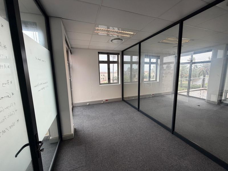 A bright, empty commercial office space featuring glass partitioning, carpeted flooring, and a suspended ceiling with integrated lighting.