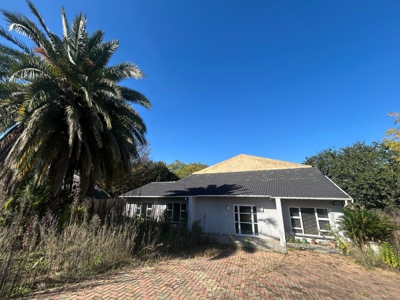 Front exterior view of a single-story house featuring a tiled roof, paved driveway, and established garden with a large palm tree.