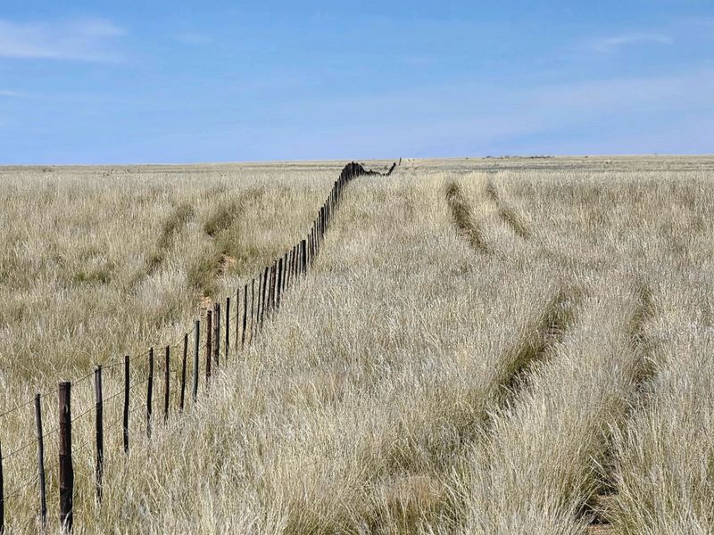 WESTERN KALAHARI LIVESTOCK FARM FOR SALE - Photo 1