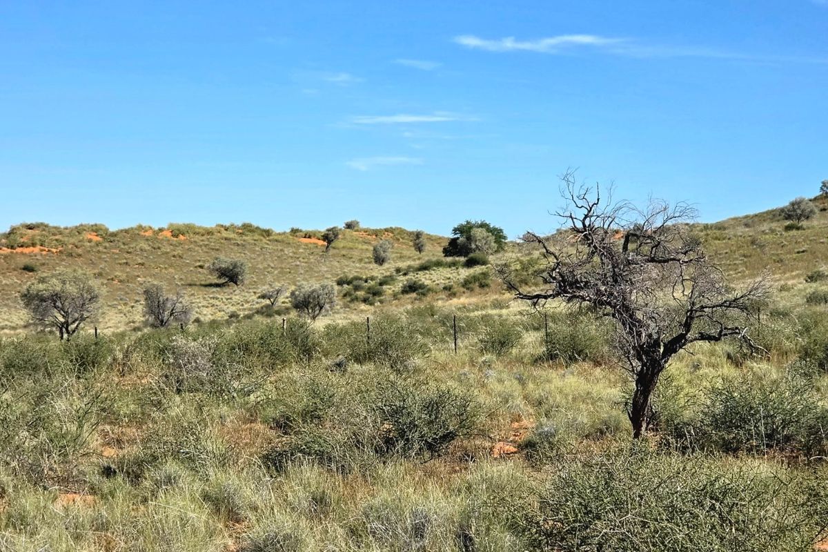 WESTERN KALAHARI LIVESTOCK FARM FOR SALE - Photo 3
