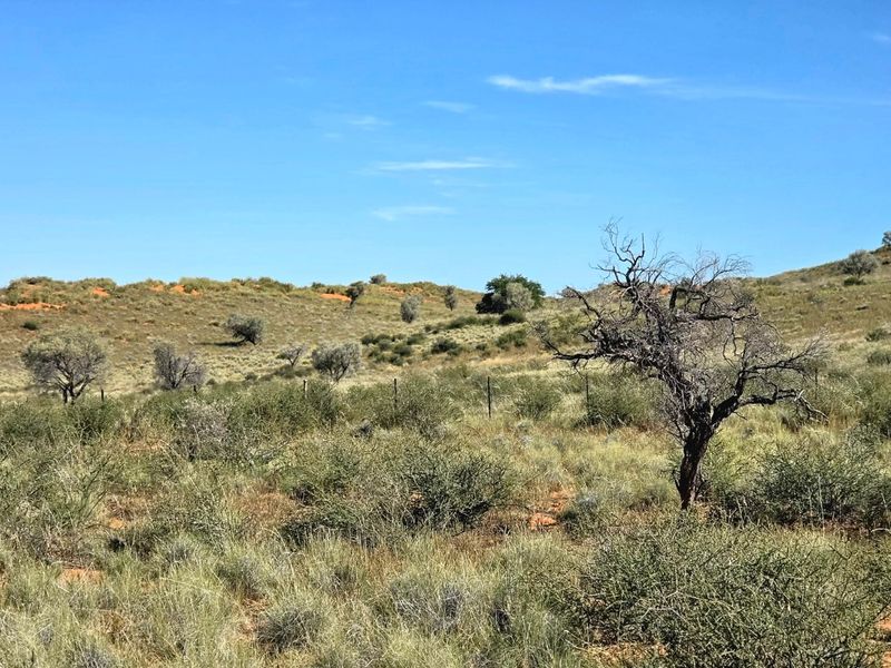 WESTERN KALAHARI LIVESTOCK FARM FOR SALE - Photo 3
