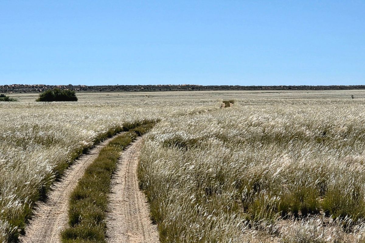 WESTERN KALAHARI LIVESTOCK FARM FOR SALE - Photo 2