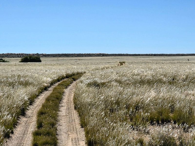WESTERN KALAHARI LIVESTOCK FARM FOR SALE - Photo 2