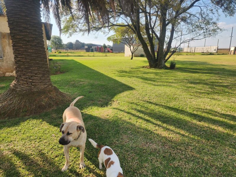 2.2Ha Small Holding for Sale | Bapsfontein - Photo 1