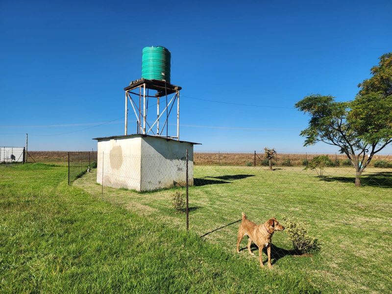2.2Ha Small Holding for Sale | Bapsfontein - Photo 8