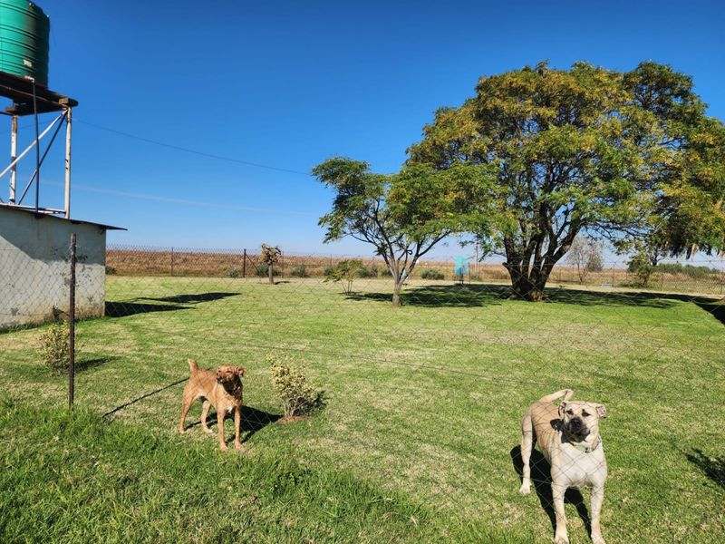 2.2Ha Small Holding for Sale | Bapsfontein - Photo 7
