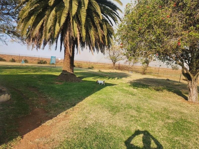 2.2Ha Small Holding for Sale | Bapsfontein - Photo 6