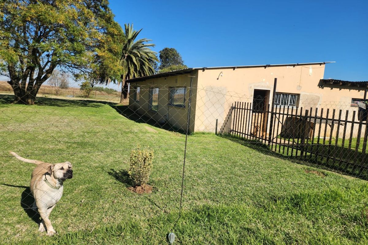 2.2Ha Small Holding for Sale | Bapsfontein - Photo 2