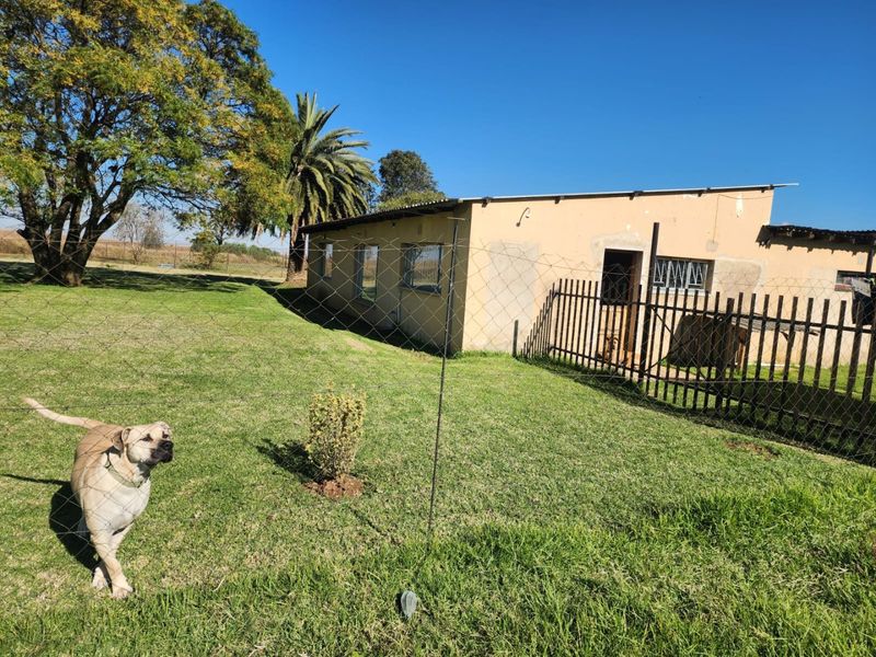 2.2Ha Small Holding for Sale | Bapsfontein - Photo 2
