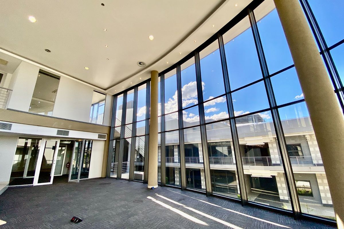 Spacious, modern office area featuring expansive floor-to-ceiling windows, high ceilings with recessed lighting, and neutral carpeted flooring in a professional commercial building.