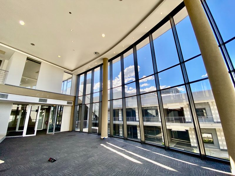 Spacious, modern office area featuring expansive floor-to-ceiling windows, high ceilings with recessed lighting, and neutral carpeted flooring in a professional commercial building.