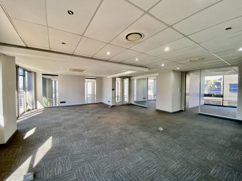 Spacious, vacant commercial office area featuring suspended ceilings, recessed lighting, carpet tile flooring, and glass partition walls providing natural light.