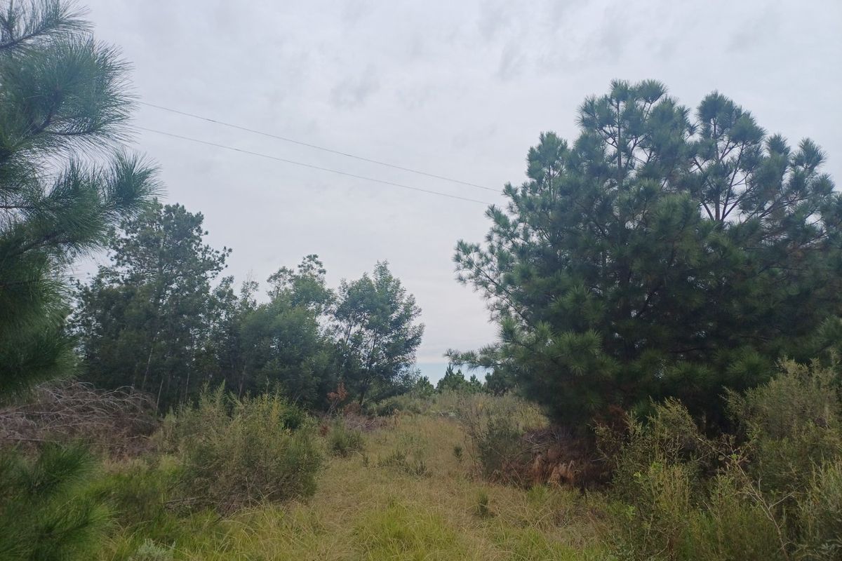 Plot in Wildeness Heights - Why Wait? - Photo 3
