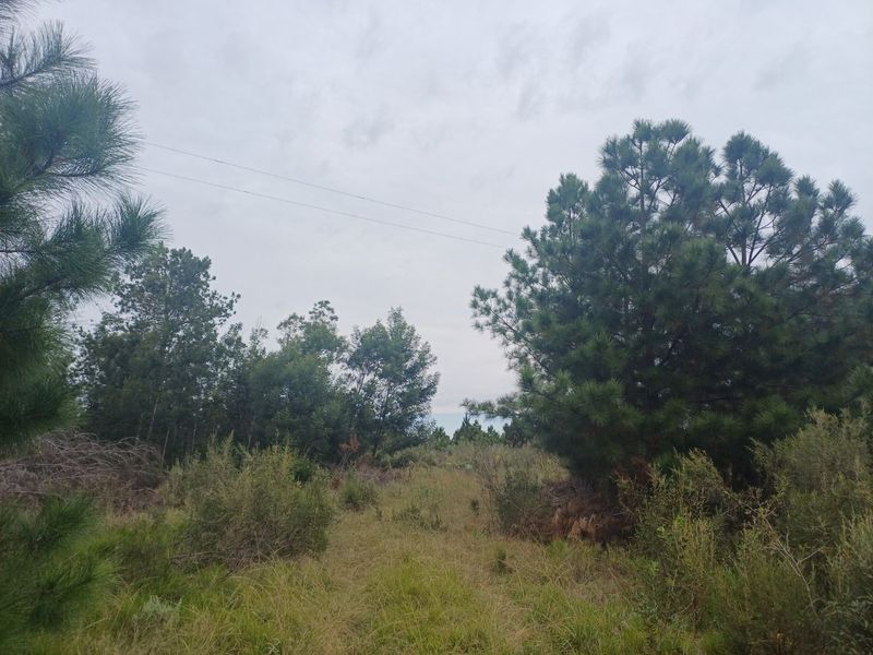 Plot in Wildeness Heights - Why Wait? - Photo 3