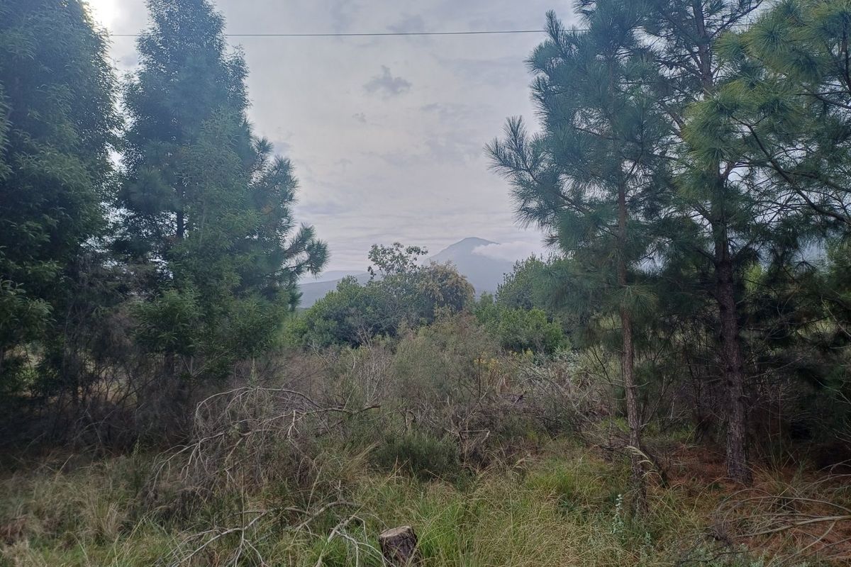 Plot in Wildeness Heights - Why Wait? - Photo 4