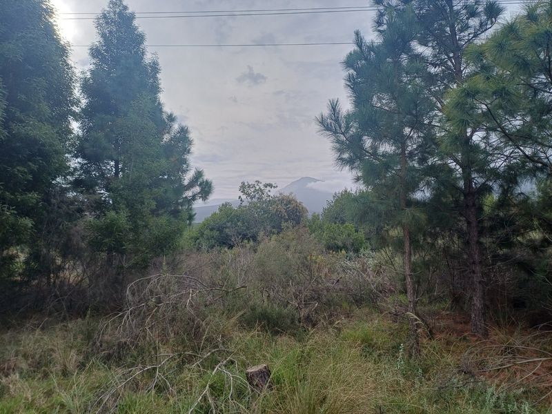 Plot in Wildeness Heights - Why Wait? - Photo 4