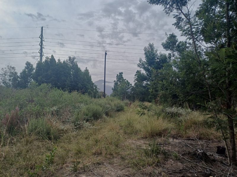 Plot in Wildeness Heights - Why Wait? - Photo 7