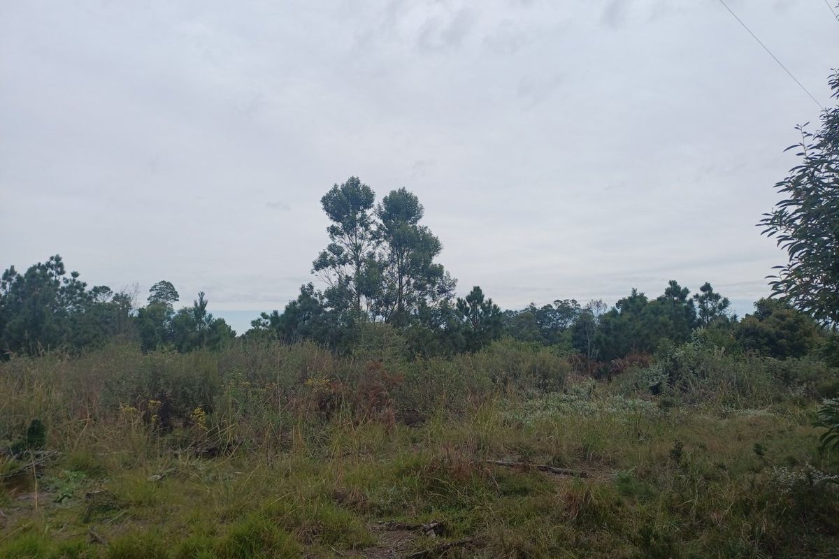 Plot in Wildeness Heights - Why Wait? - Photo 5