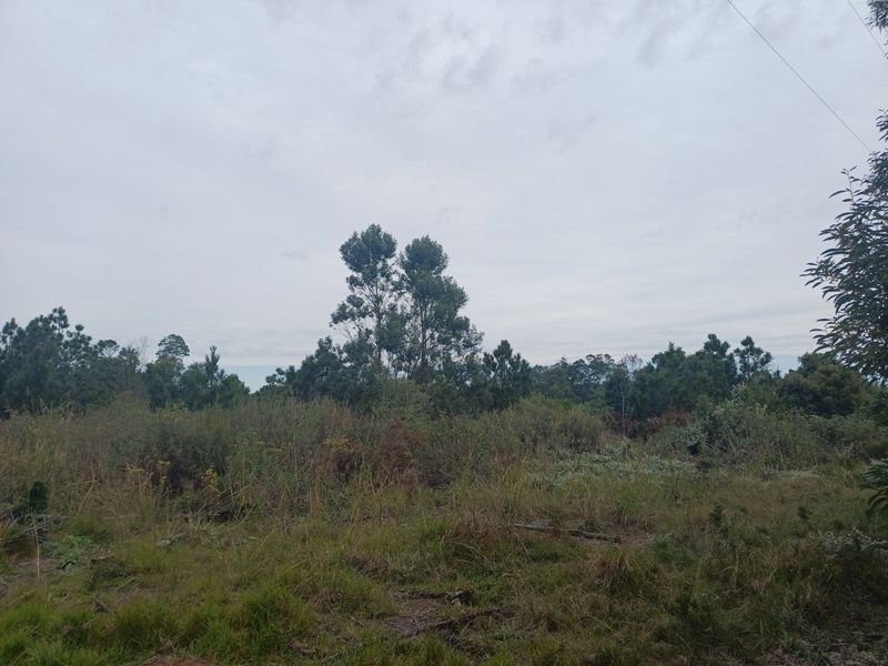 Plot in Wildeness Heights - Why Wait? - Photo 5
