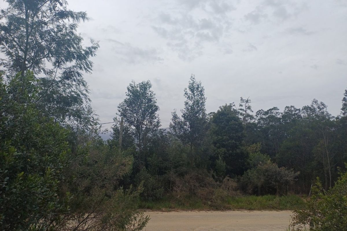 Plot in Wildeness Heights - Why Wait? - Photo 2