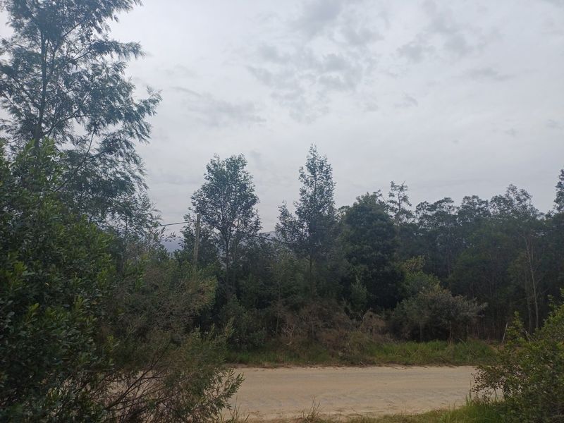 Plot in Wildeness Heights - Why Wait? - Photo 2