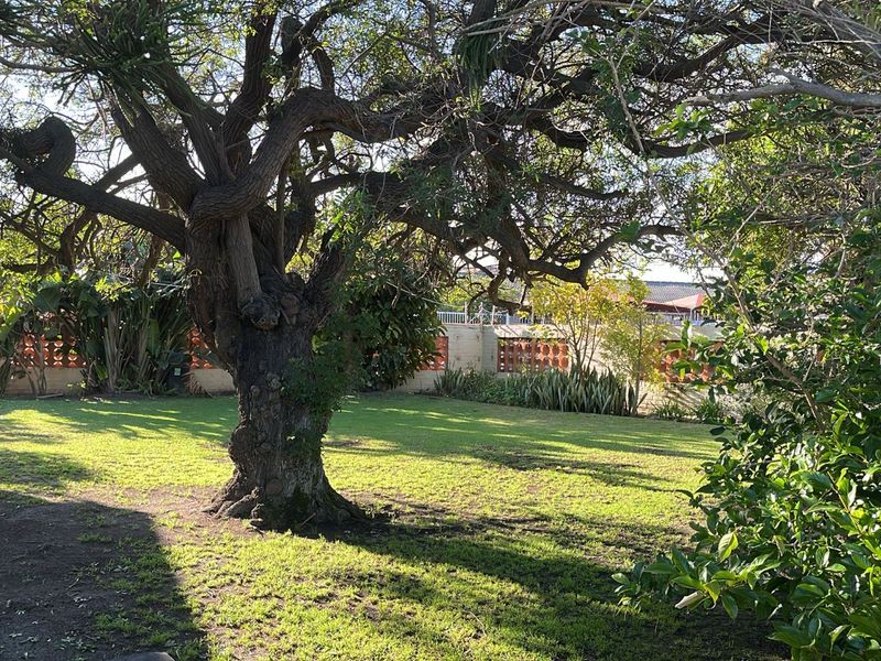 6 Bedroom House for Sale in  Cravenby, Parow R2,795,000 - Photo 6