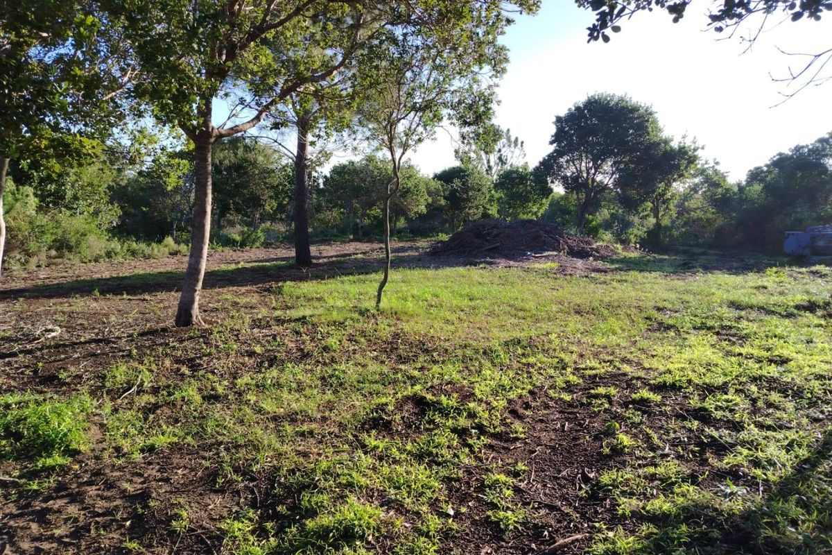 Ready to build 2.4 Hectares with sea views in Langvlei Dunes - Photo 2