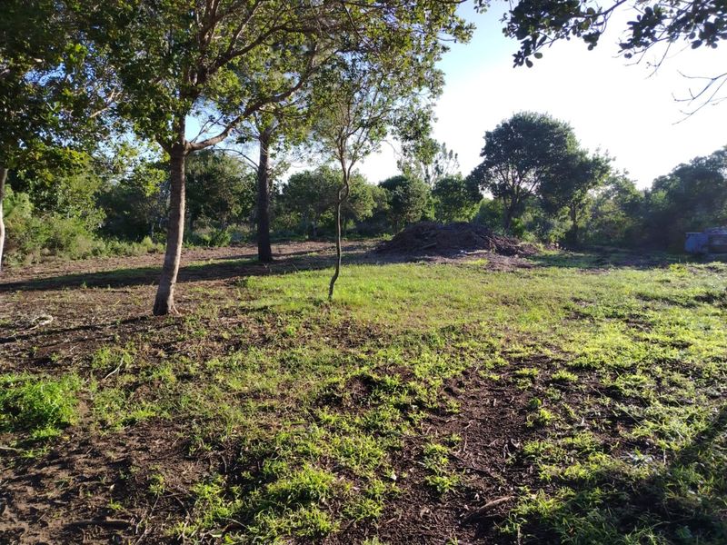 Ready to build 2.4 Hectares with sea views in Langvlei Dunes - Photo 2