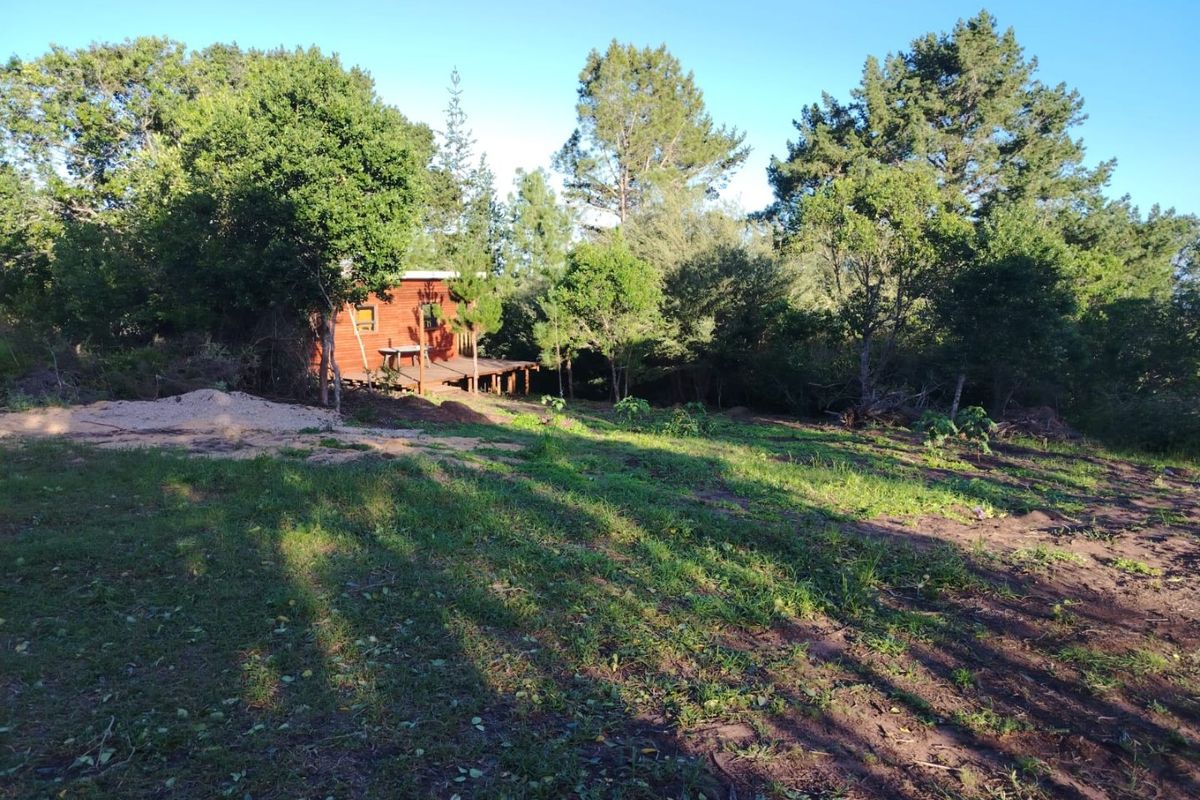 Ready to build 2.4 Hectares with sea views in Langvlei Dunes - Photo 3