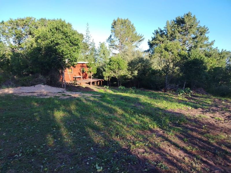 Ready to build 2.4 Hectares with sea views in Langvlei Dunes - Photo 3