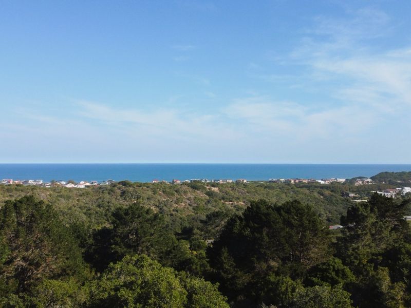 Ready to build 2.4 Hectares with sea views in Langvlei Dunes - Photo 1