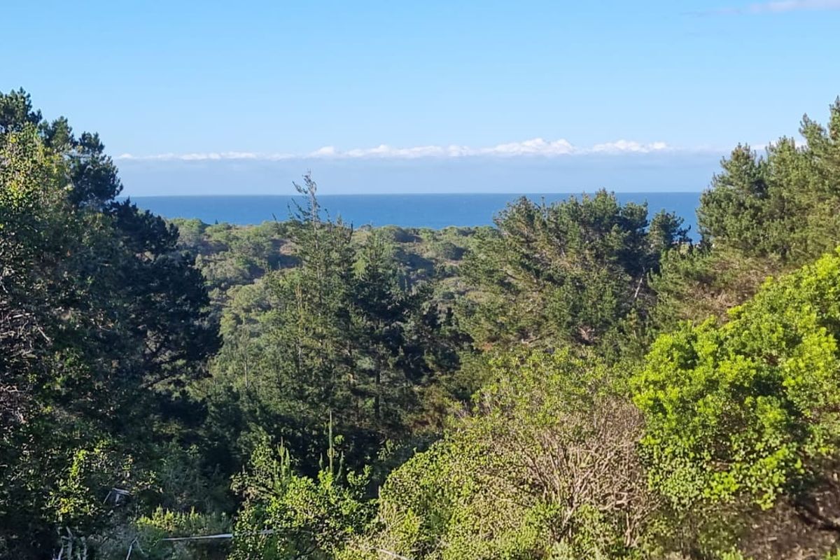 Ready to build 2.4 Hectares with sea views in Langvlei Dunes - Photo 4
