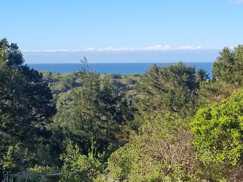 Ready to build 2.4 Hectares with sea views in Langvlei Dunes - Photo 4