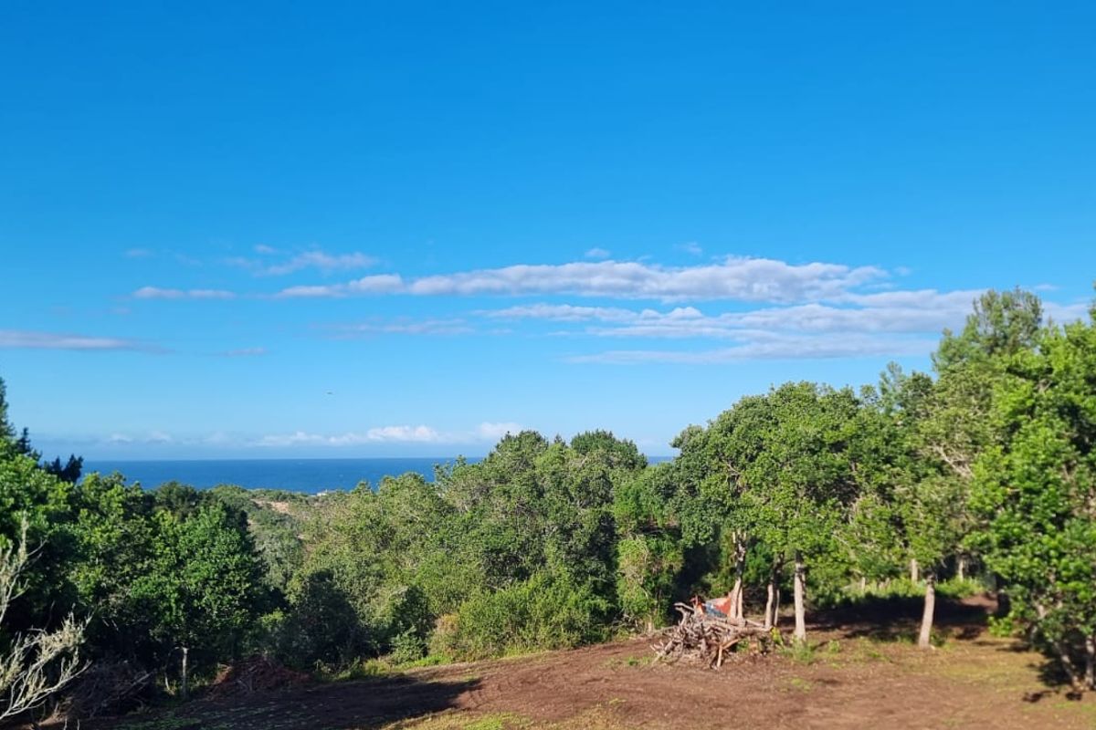 Ready to build 2.4 Hectares with sea views in Langvlei Dunes - Photo 5