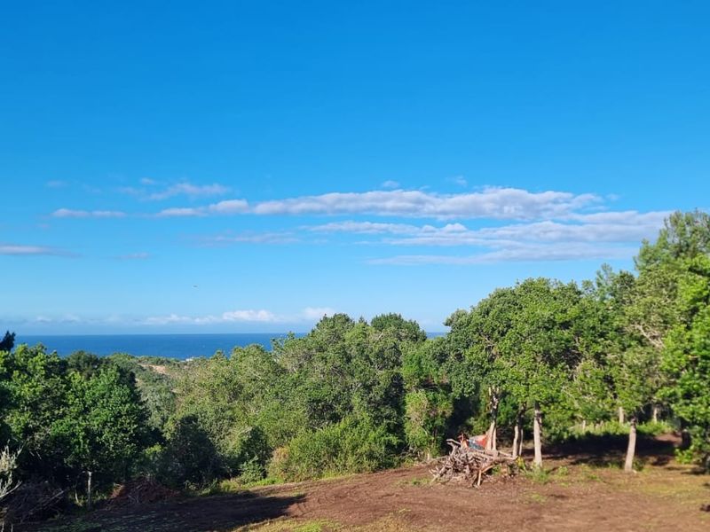 Ready to build 2.4 Hectares with sea views in Langvlei Dunes - Photo 5