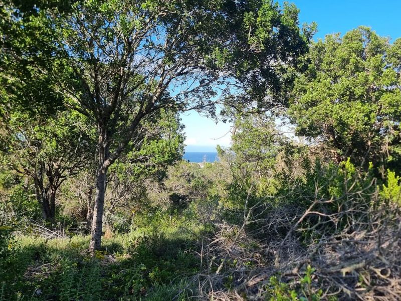 Ready to build 2.4 Hectares with sea views in Langvlei Dunes - Photo 10