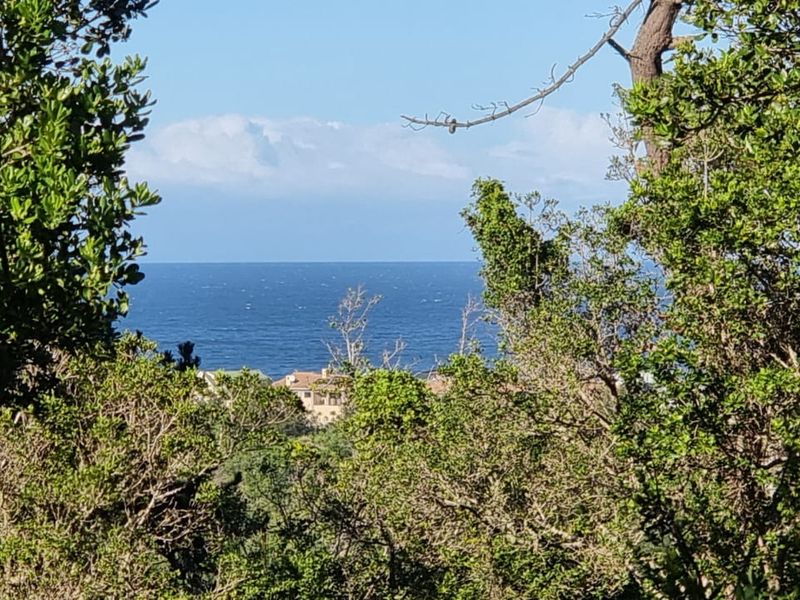Ready to build 2.4 Hectares with sea views in Langvlei Dunes - Photo 9