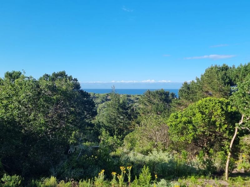 Ready to build 2.4 Hectares with sea views in Langvlei Dunes - Photo 7