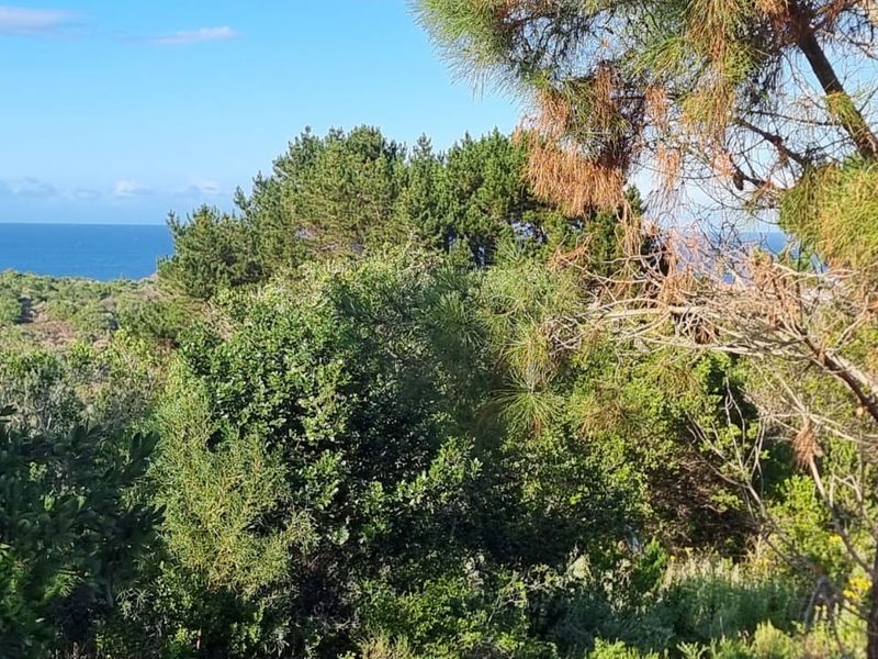 Ready to build 2.4 Hectares with sea views in Langvlei Dunes - Photo 6