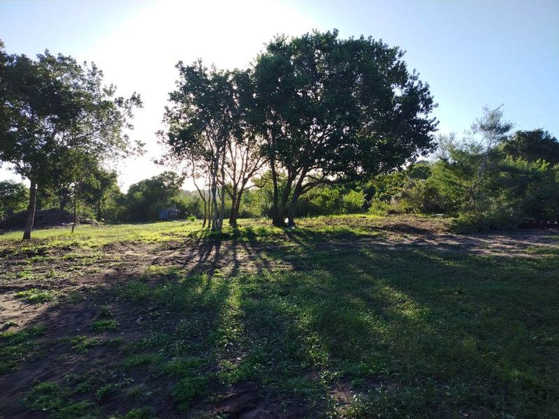 Ready to build 2.4 Hectares with sea views in Langvlei Dunes - Photo 8