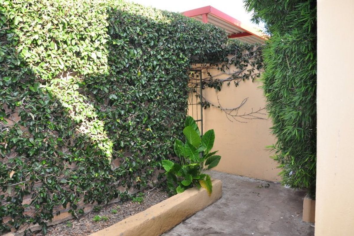 Charming Kensington Home with two flatlets & Pool - Great location - Photo 2