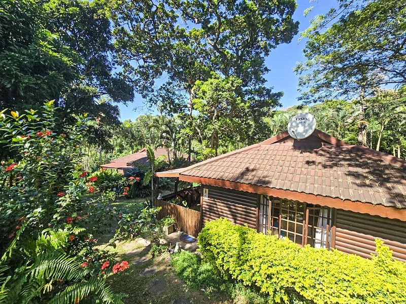 Exciting Investment Opportunity: Multi-Unit Small Holding with Development Potential - Photo 7