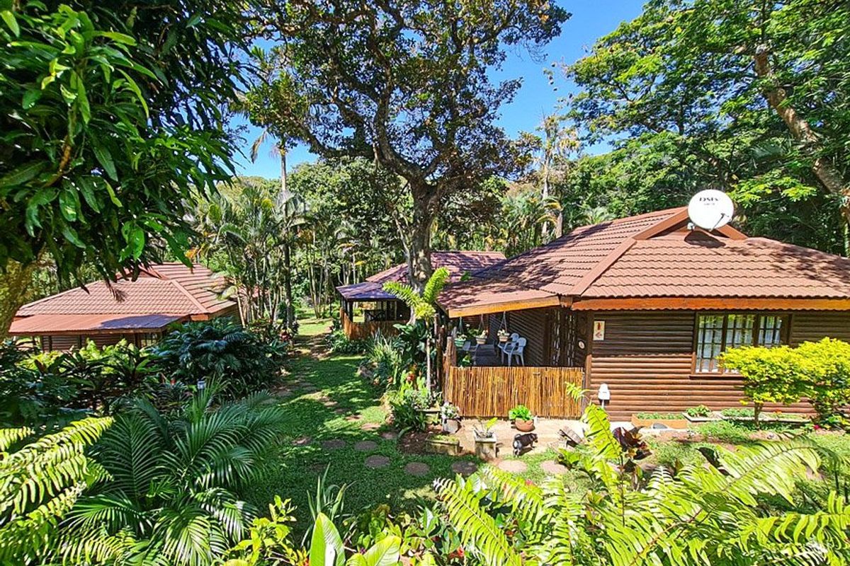 A view of rustic log cabin style dwellings nestled within a lush, mature garden setting with covered patios and tiled roofing.