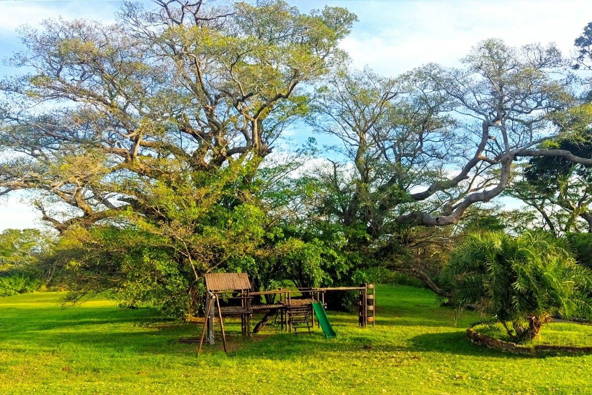 0 Bed Vacant Land in Port Edward for Sale - Photo 5