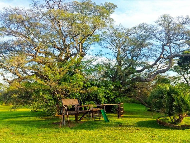 0 Bed Vacant Land in Port Edward for Sale - Photo 5