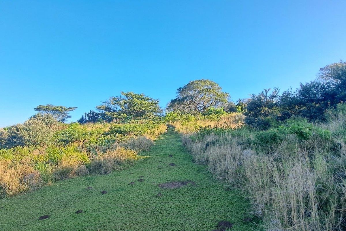 0 Bed Vacant Land in Port Edward for Sale - Photo 4
