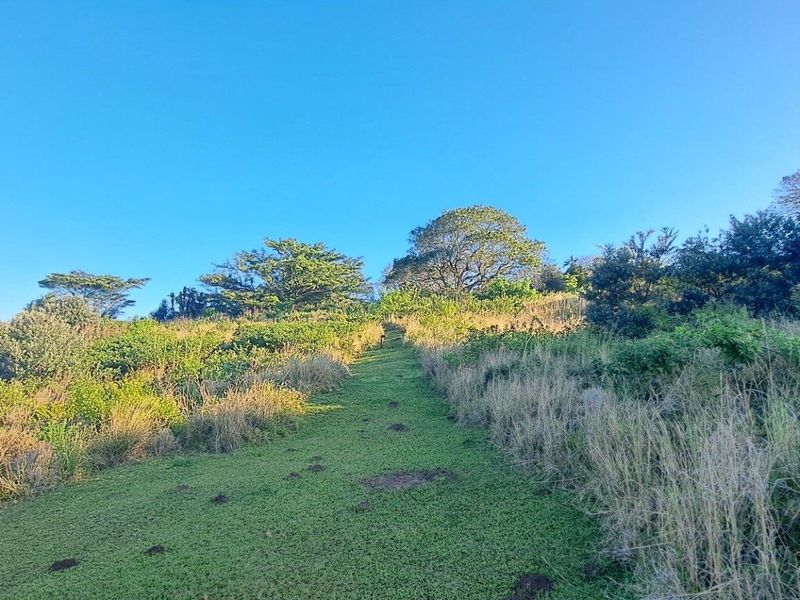 0 Bed Vacant Land in Port Edward for Sale - Photo 4