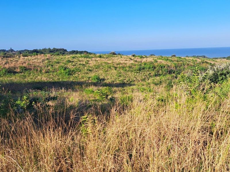 0 Bed Vacant Land in Port Edward for Sale - Photo 9